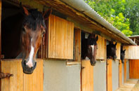 free Burrafirth stable construction quotes